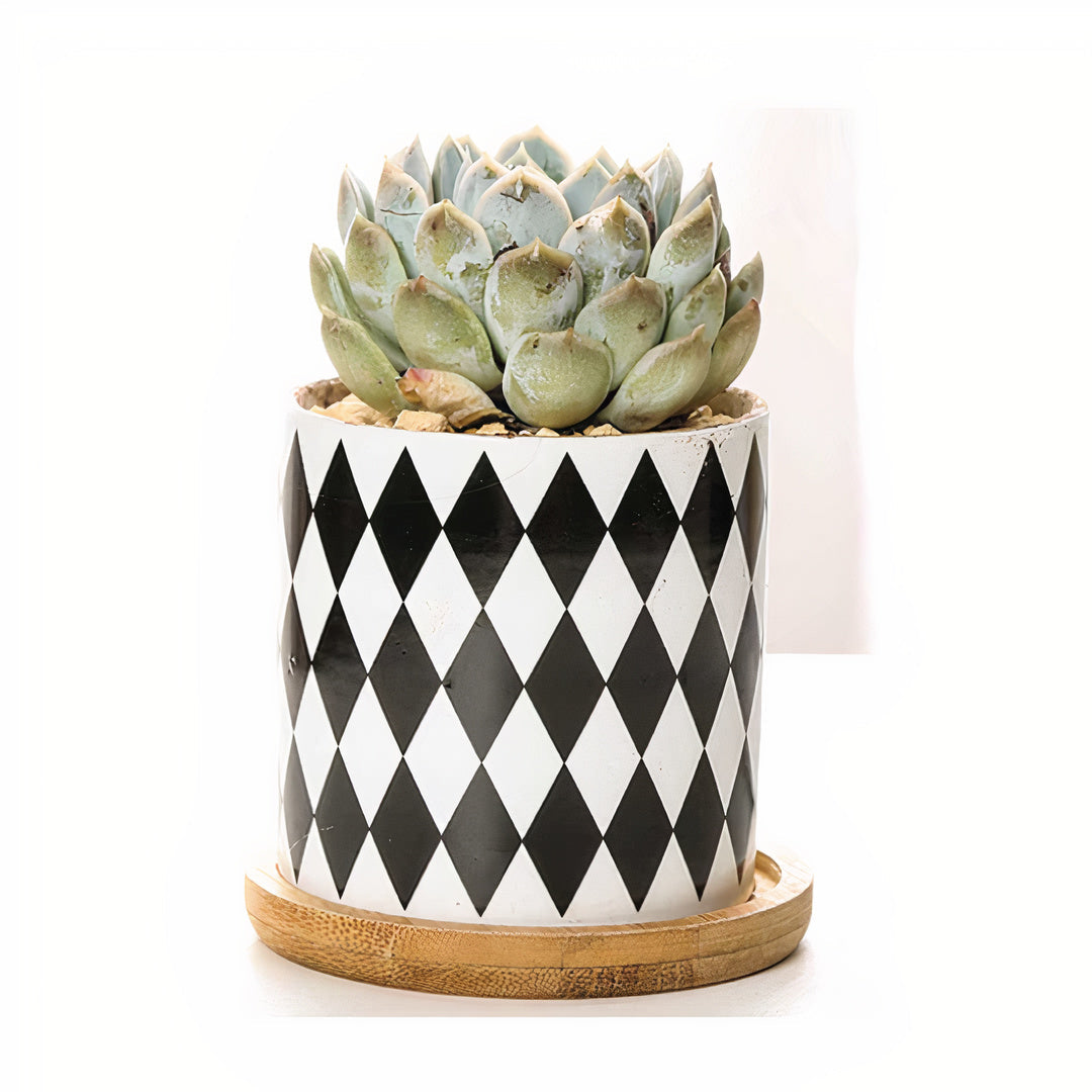 B&W Planters Set of 3-2